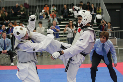 Taekwondo Action Landscape Men